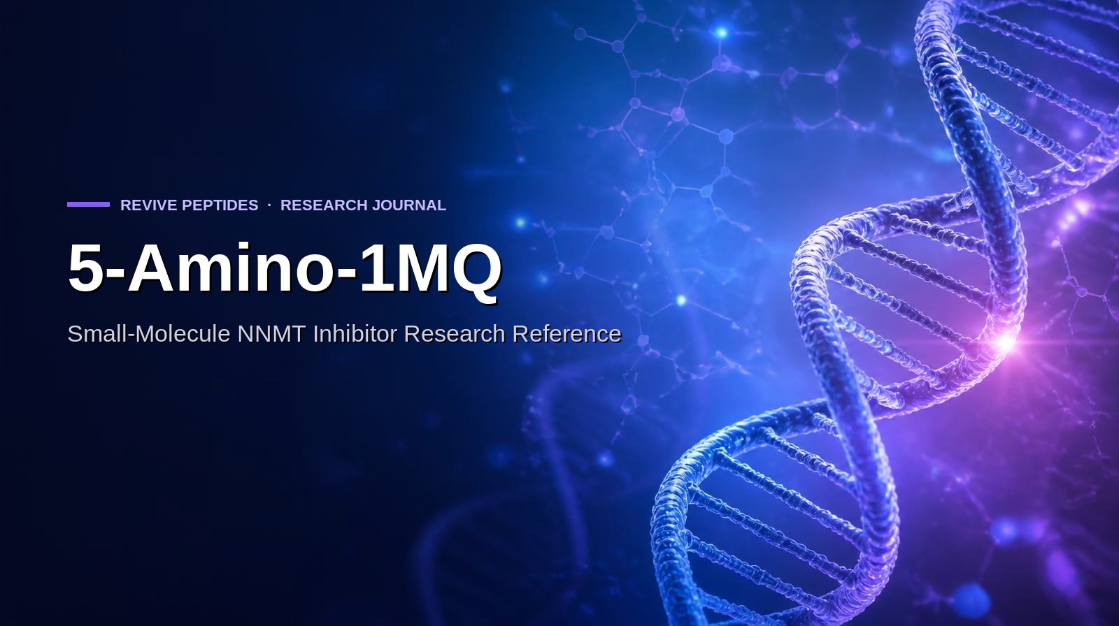 5-Amino-1MQ: NNMT Inhibitor Research Reference (Mechanism, PK & Documentation)