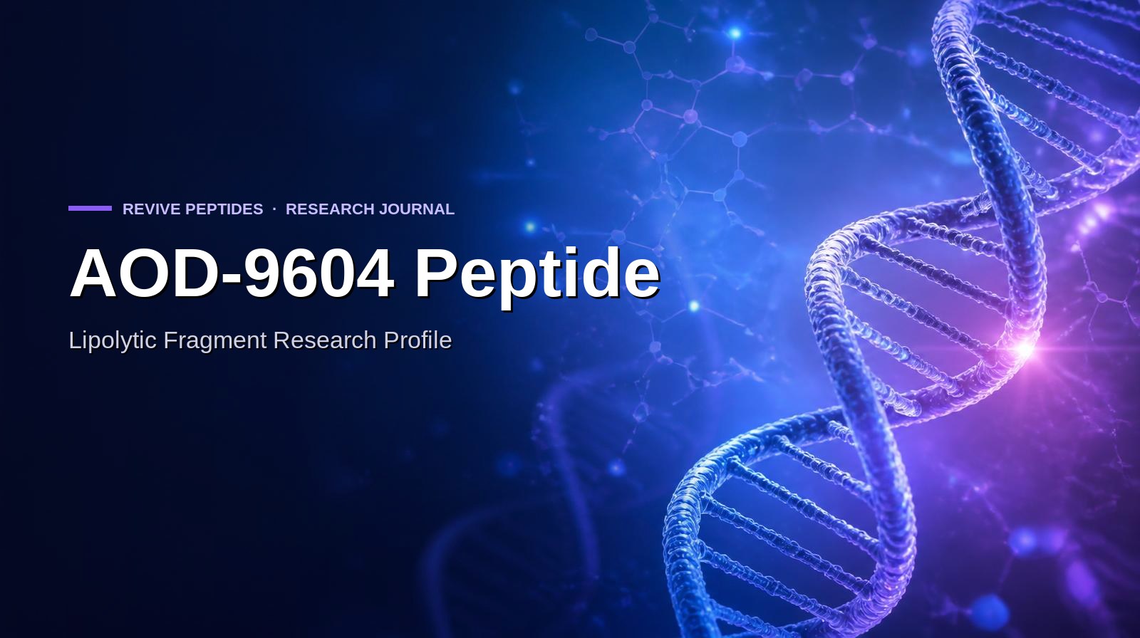 AOD-9604 Peptide: In-Vitro Lipolytic Fragment Research Profile