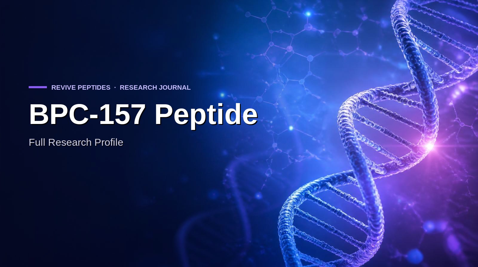 BPC-157 Peptide: Complete Research Profile (Structure, Signalling, Stability & COA)