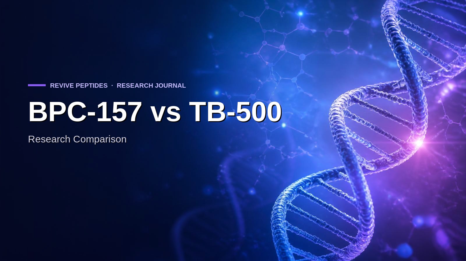 BPC-157 vs TB-500: Complete Research Comparison (Mechanism, Structure & Pairing Rationale)