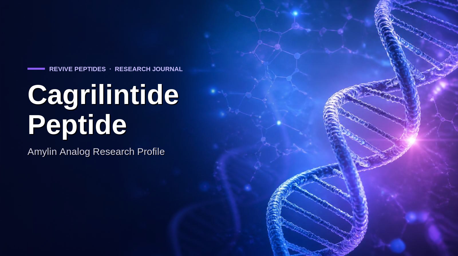Cagrilintide Peptide: In-Vitro Amylin Receptor Research Profile