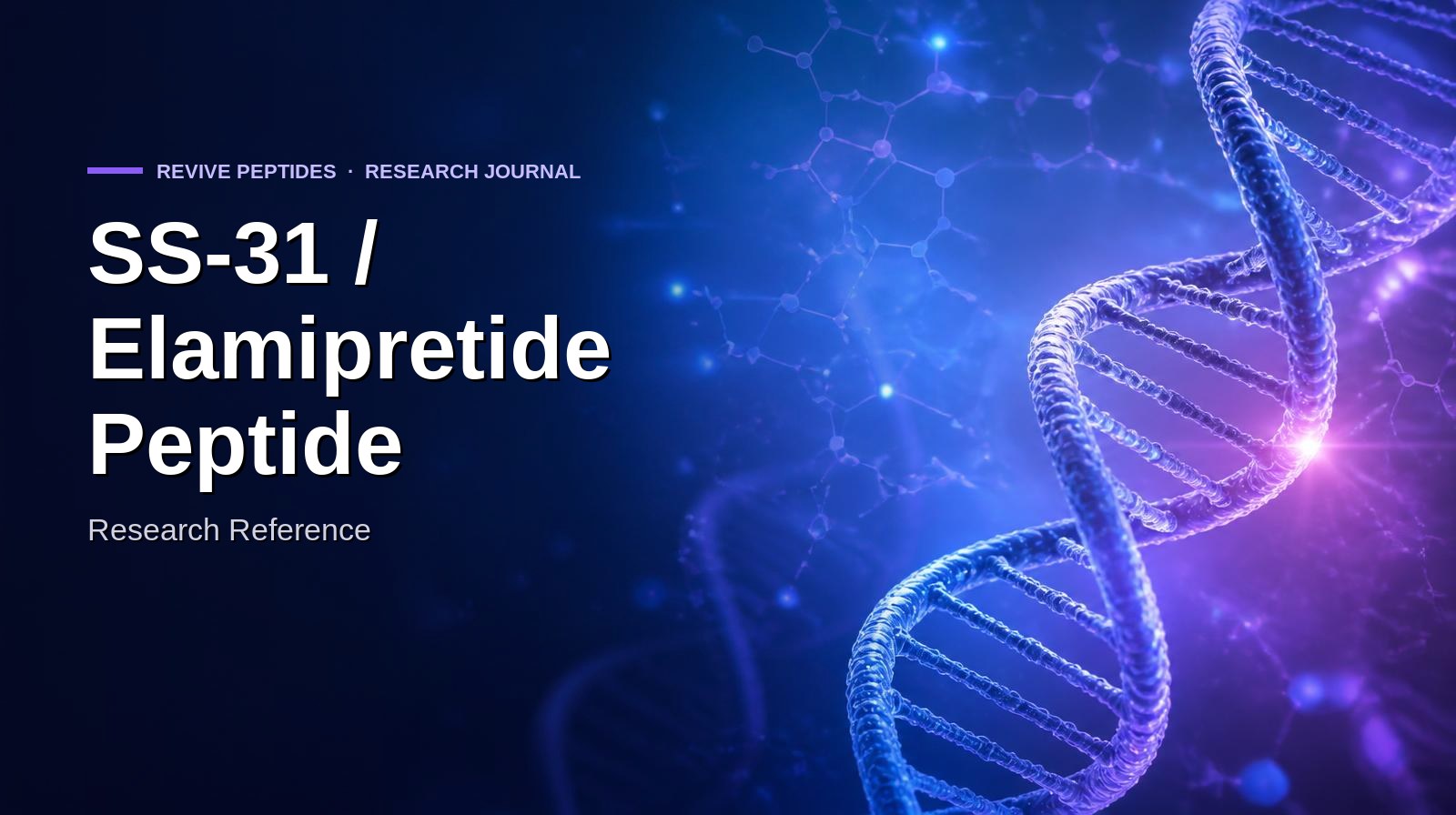 SS-31 / Elamipretide Peptide: Full Research Reference