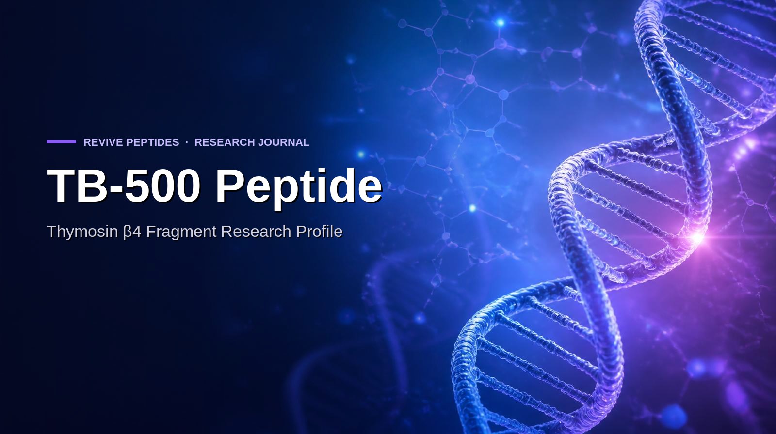 TB-500 Peptide: Thymosin β4 Fragment Research Profile (Structure, Actin Binding & COA)