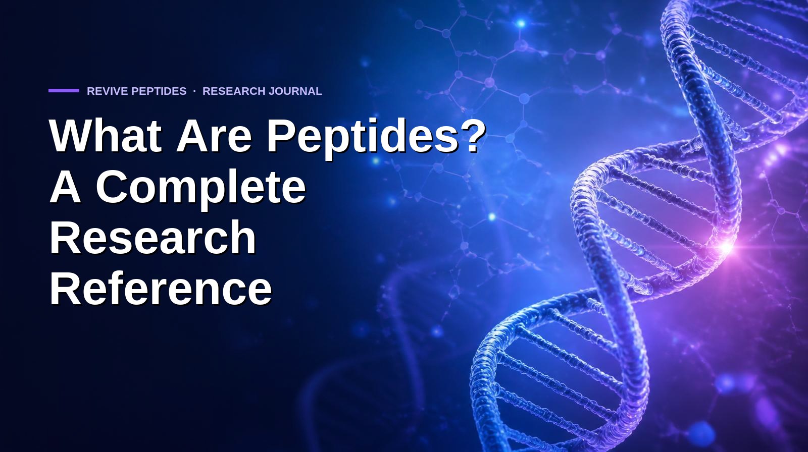 What Are Peptides? A Complete Research Reference