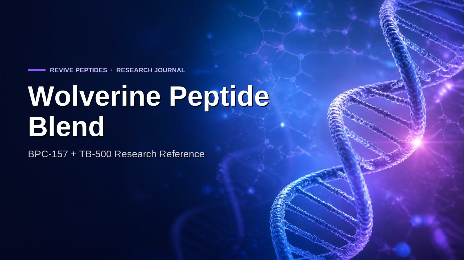 Wolverine Peptide Blend: BPC-157 + TB-500 Research Reference (Rationale, Stability & COA)